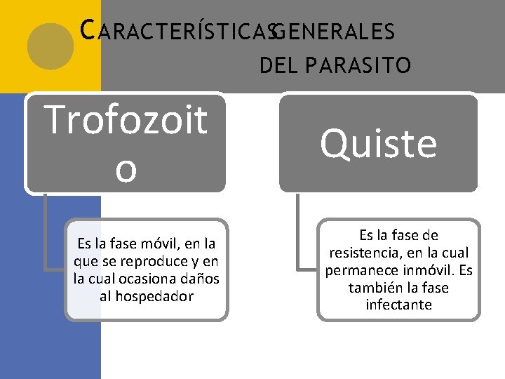 C ARACTERÍSTICASGENERALES DEL PARASITO Trofozoit o Es la fase móvil, en la que se