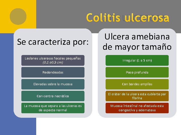 C OLITIS ULCEROSA Se caracteriza por: Ulcera amebiana de mayor tamaño Lesiones ulcerosas focales