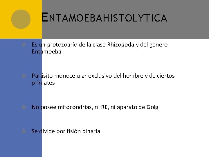 E NTAMOEBA HISTOLYTICA Es un protozoario de la clase Rhizopoda y del genero Entamoeba