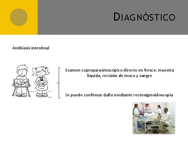 D IAGNÓSTICO Amibiasis intestinal Examen coproparasitoscópico directo en fresco: muestra líquida, revisión de moco