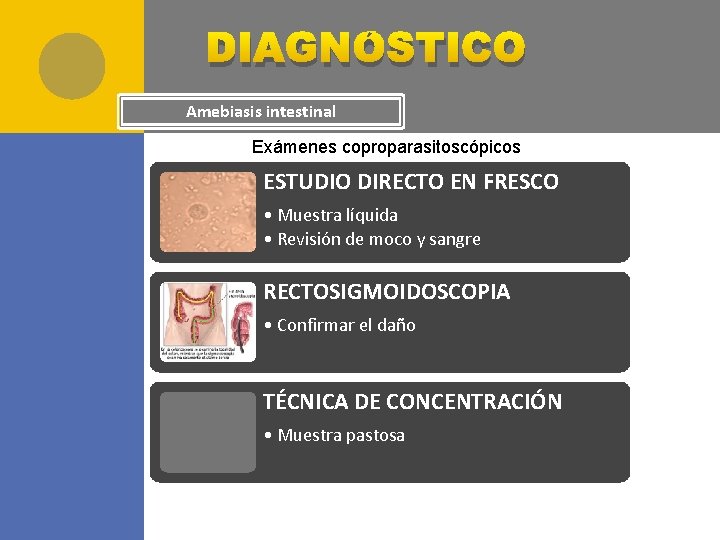 DIAGNÓSTICO Amebiasis intestinal Exámenes coproparasitoscópicos ESTUDIO DIRECTO EN FRESCO • Muestra líquida • Revisión