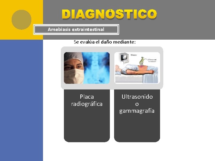 DIAGNÓSTICO Amebiasis extraintestinal Se evalúa el daño mediante: Placa radiográfica Ultrasonido o gammagrafía 