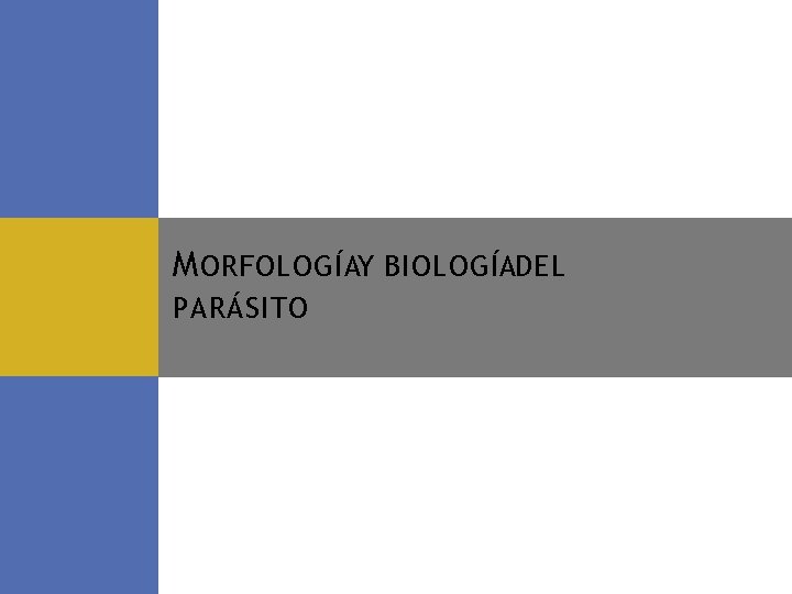 M ORFOLOGÍAY BIOLOGÍADEL PARÁSITO 