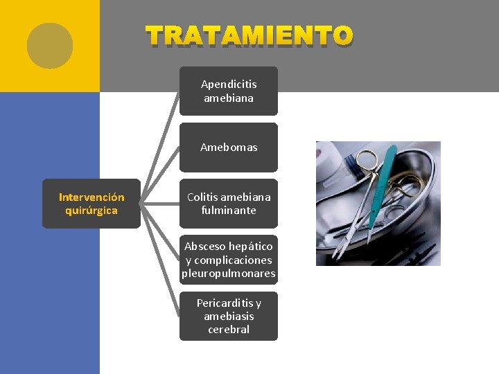 TRATAMIENTO Apendicitis amebiana Amebomas Intervención quirúrgica Colitis amebiana fulminante Absceso hepático y complicaciones pleuropulmonares