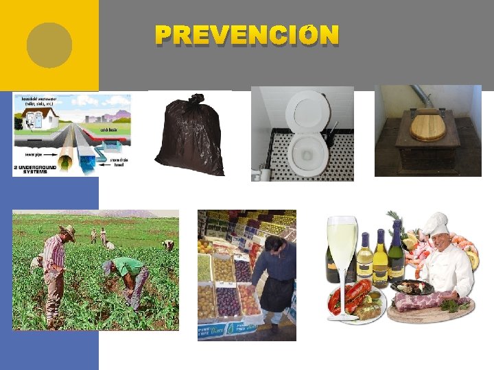 PREVENCIÓN 