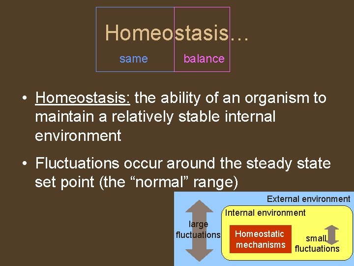 Homeostasis… same balance • Homeostasis: the ability of an organism to maintain a relatively