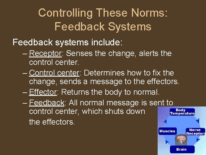 Controlling These Norms: Feedback Systems Feedback systems include: – Receptor: Senses the change, alerts