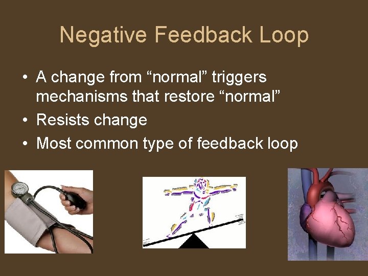 Negative Feedback Loop • A change from “normal” triggers mechanisms that restore “normal” •