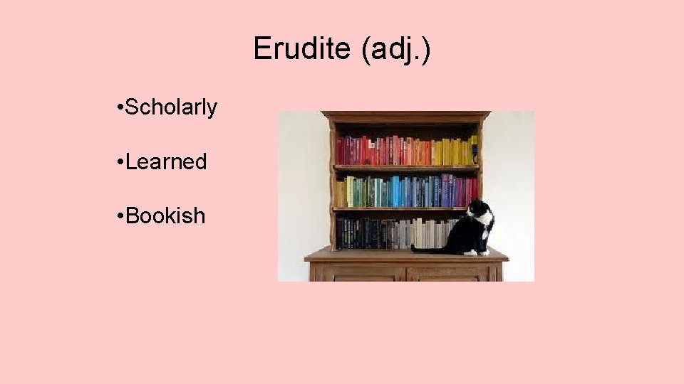 Erudite (adj. ) • Scholarly • Learned • Bookish 