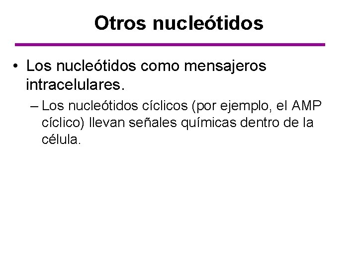 Otros nucleótidos • Los nucleótidos como mensajeros intracelulares. – Los nucleótidos cíclicos (por ejemplo,