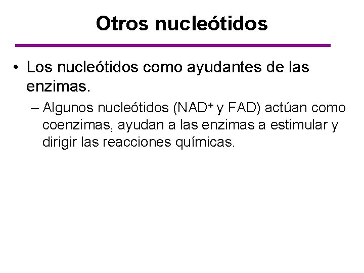 Otros nucleótidos • Los nucleótidos como ayudantes de las enzimas. – Algunos nucleótidos (NAD+