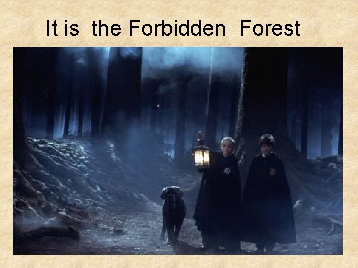 It is the Forbidden Forest 