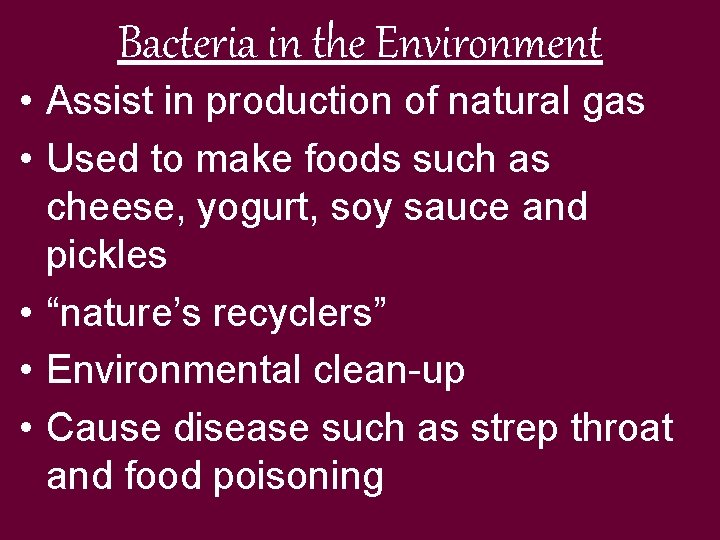 Bacteria in the Environment • Assist in production of natural gas • Used to
