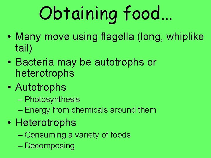 Obtaining food… • Many move using flagella (long, whiplike tail) • Bacteria may be