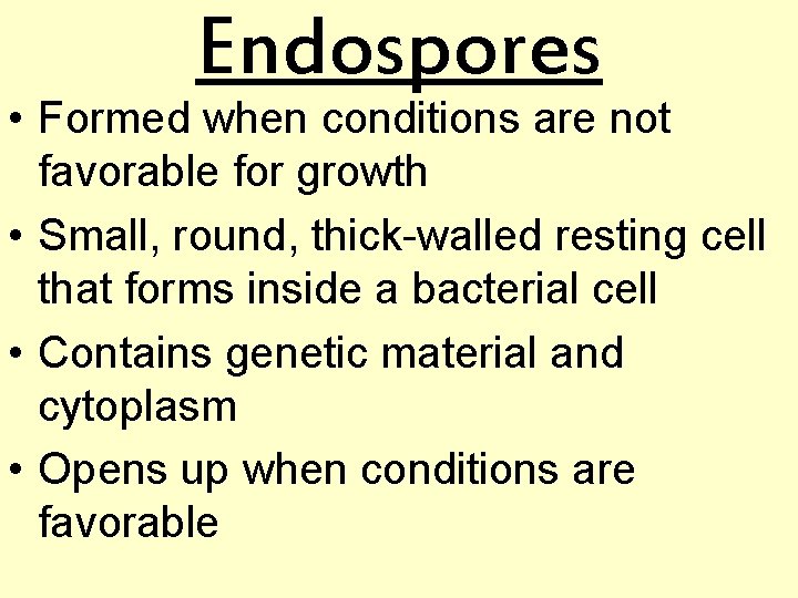 Endospores • Formed when conditions are not favorable for growth • Small, round, thick-walled
