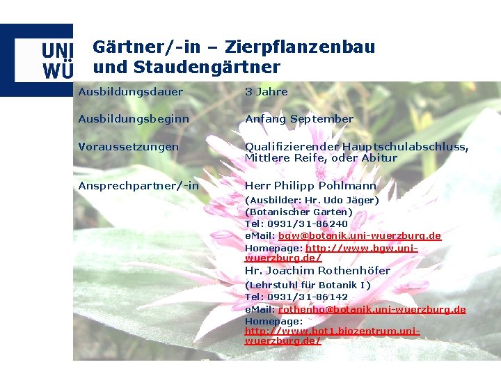 Gärtner/-in – Zierpflanzenbau und Staudengärtner Ausbildungsdauer 3 Jahre Ausbildungsbeginn Anfang September Voraussetzungen Qualifizierender Hauptschulabschluss,