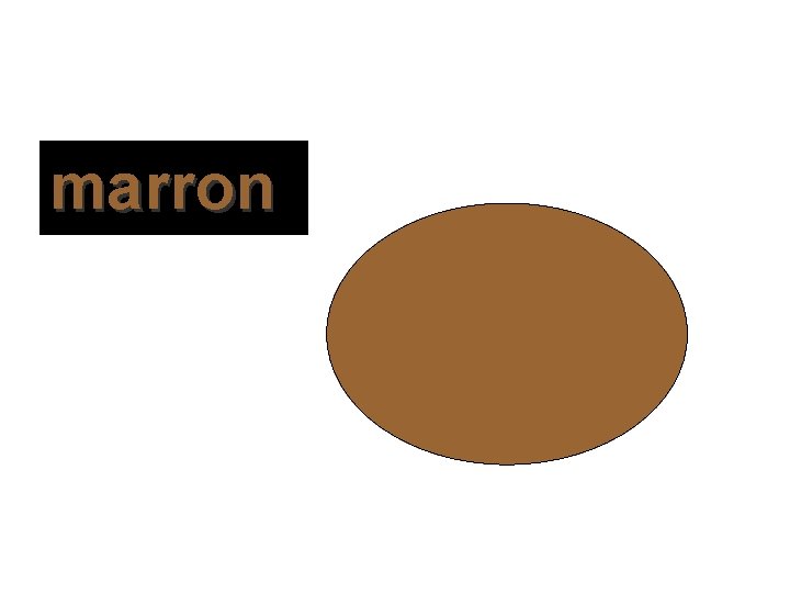 marron 