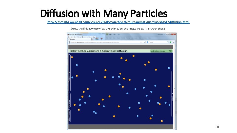 Diffusion with Many Particles http: //esminfo. prenhall. com/science/Biology. Archive/lectureanimations/closerlook/diffusion. html (Select the link above
