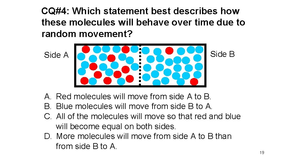 CQ#4: Which statement best describes how these molecules will behave over time due to