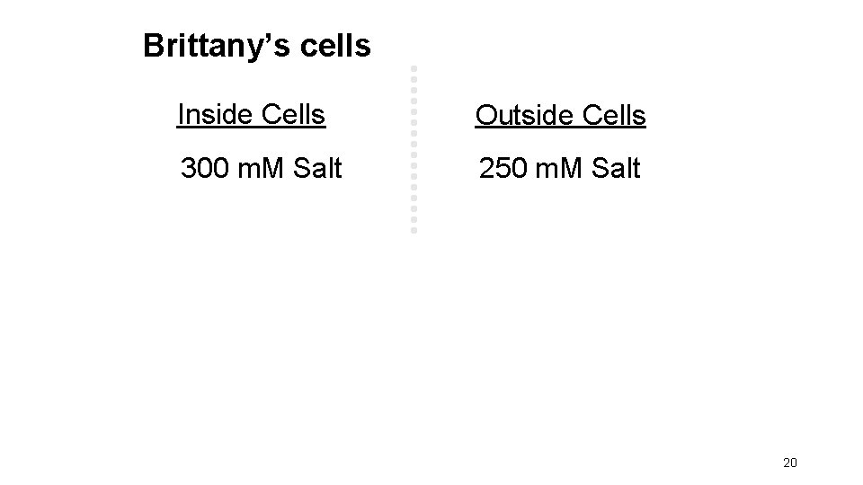 Brittany’s cells Inside Cells Outside Cells 300 m. M Salt 250 m. M Salt