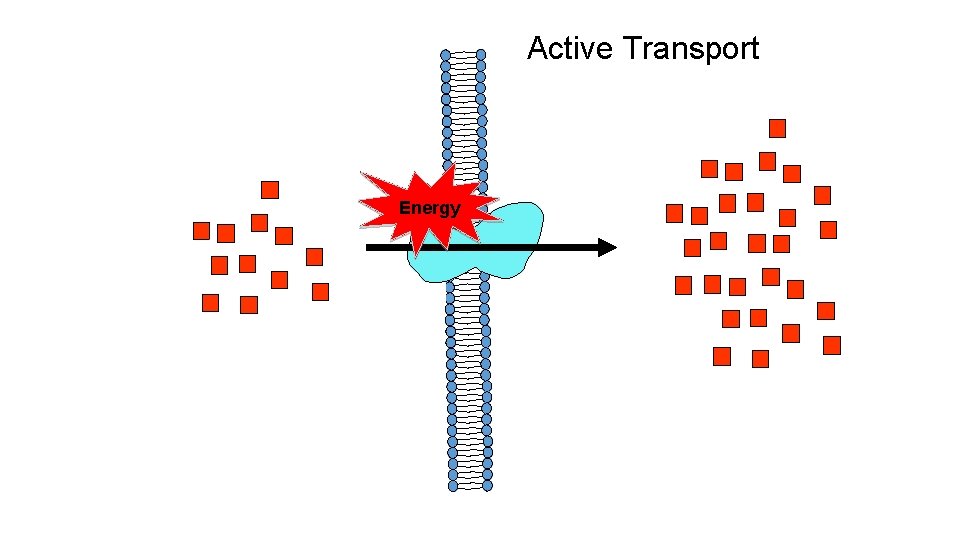 Active Transport Energy 
