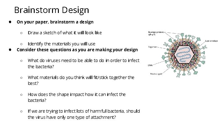 Brainstorm Design ● On your paper, brainstorm a design ○ ● Draw a sketch
