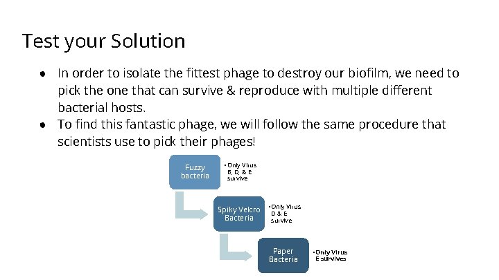 Test your Solution ● In order to isolate the fittest phage to destroy our