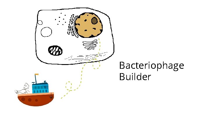 Bacteriophage Builder 