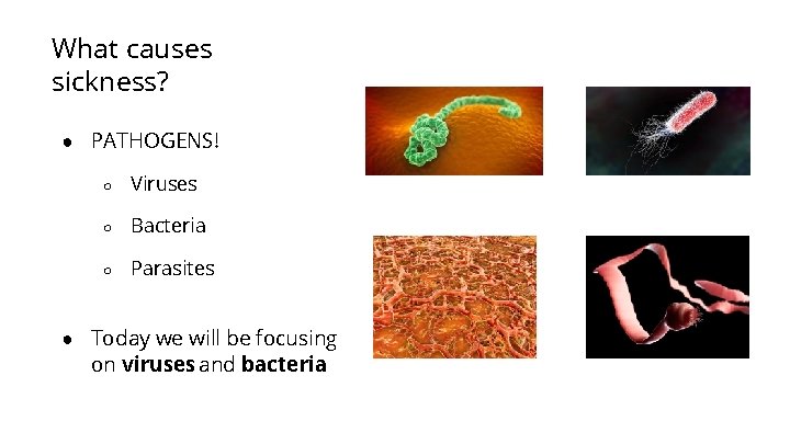What causes sickness? ● PATHOGENS! ○ Viruses ○ Bacteria ○ Parasites ● Today we