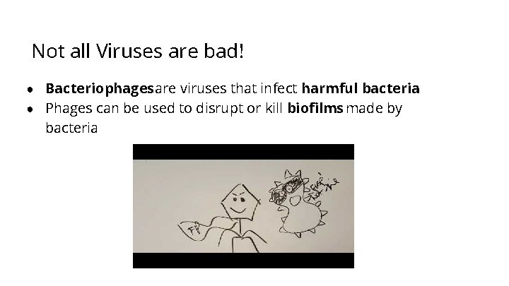 Not all Viruses are bad! ● Bacteriophages are viruses that infect harmful bacteria ●