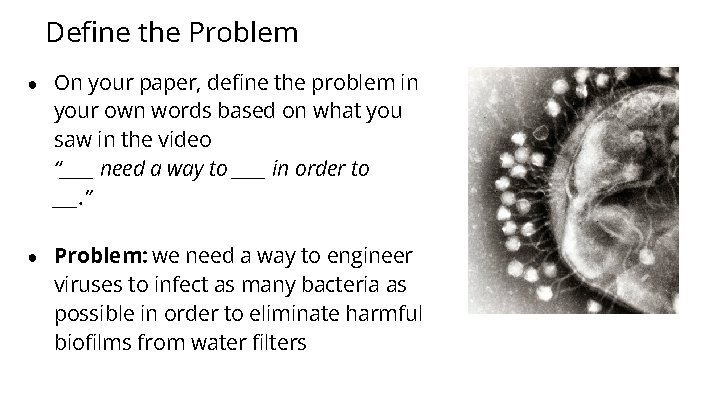 Define the Problem ● On your paper, define the problem in your own words