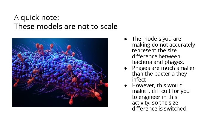 A quick note: These models are not to scale ● The models you are