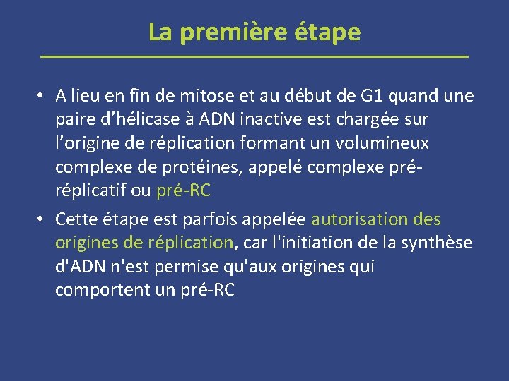 La première étape • A lieu en fin de mitose et au début de