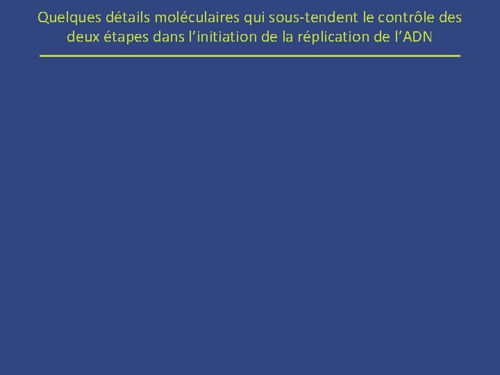 Quelques détails moléculaires qui sous-tendent le contrôle des deux étapes dans l’initiation de la