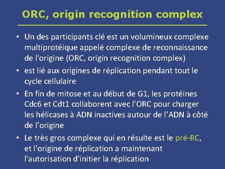 ORC, origin recognition complex • Un des participants clé est un volumineux complexe multiprotéique