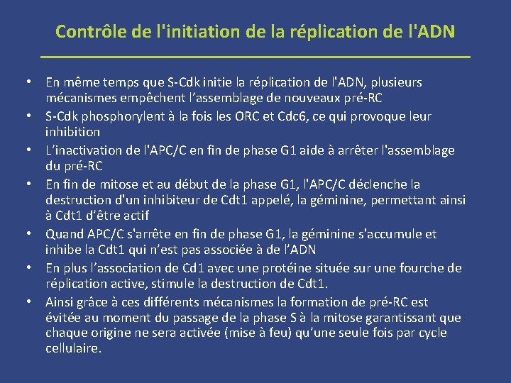 Contrôle de l'initiation de la réplication de l'ADN • En même temps que S-Cdk