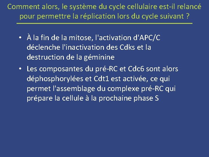 Comment alors, le système du cycle cellulaire est-il relancé pour permettre la réplication lors