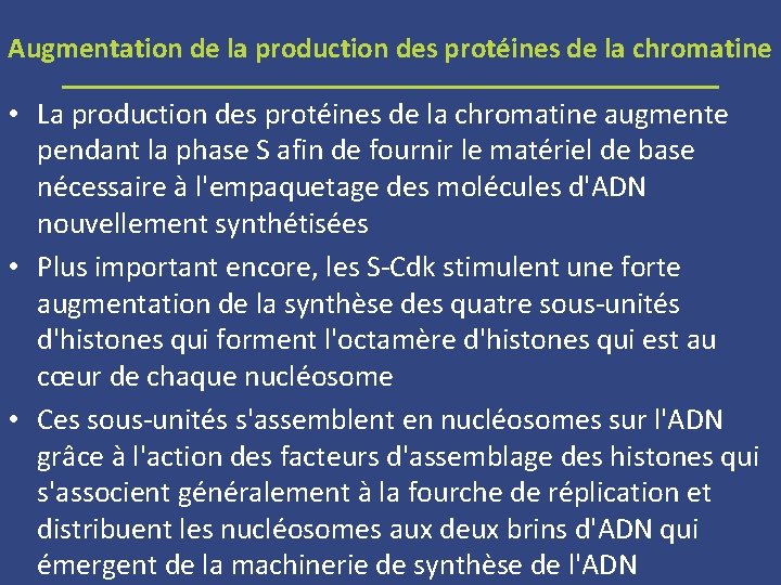 Augmentation de la production des protéines de la chromatine • La production des protéines