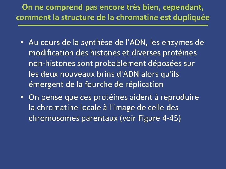 On ne comprend pas encore très bien, cependant, comment la structure de la chromatine