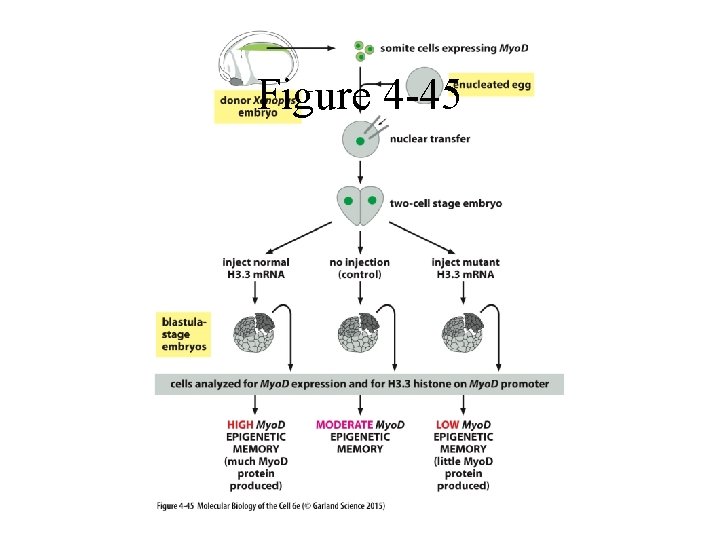 Figure 4 -45 