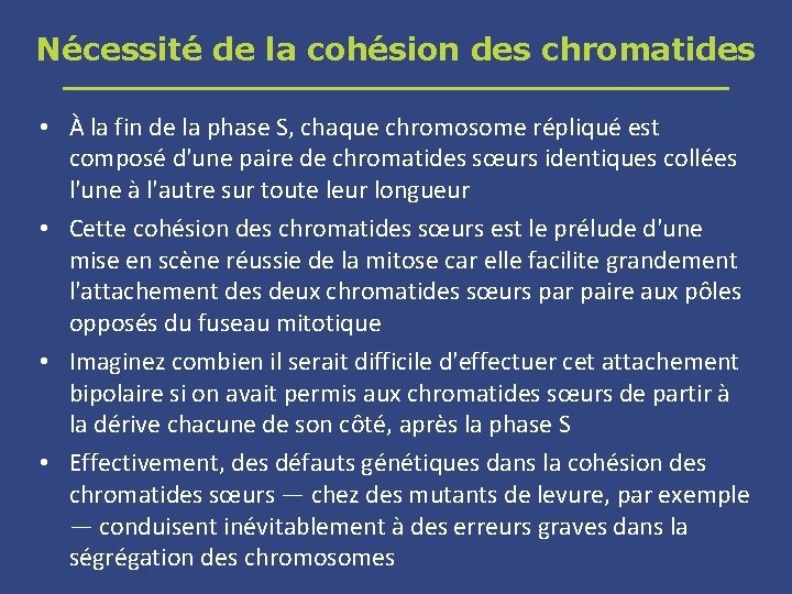 Nécessité de la cohésion des chromatides • À la fin de la phase S,