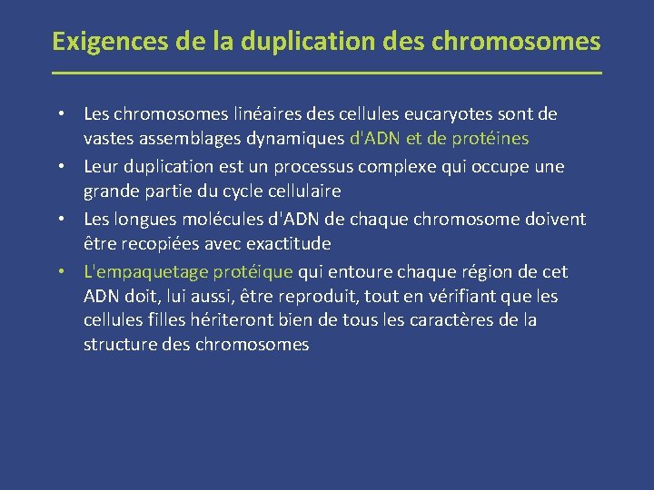 Exigences de la duplication des chromosomes • Les chromosomes linéaires des cellules eucaryotes sont