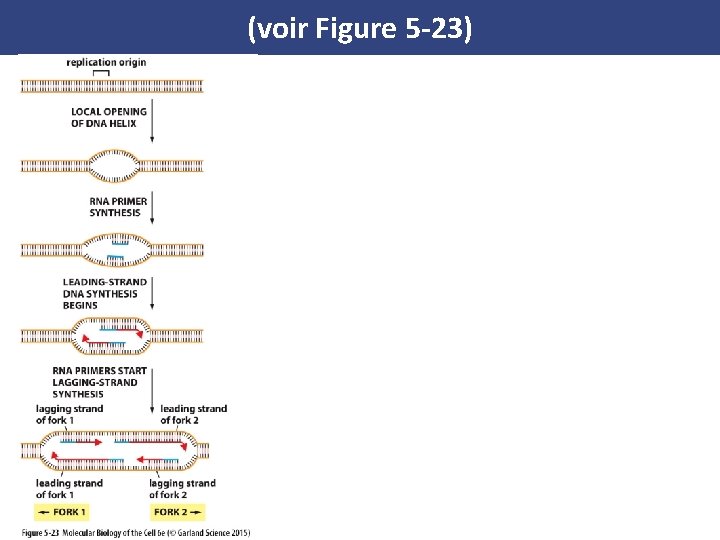 (voir Figure 5 -23) 