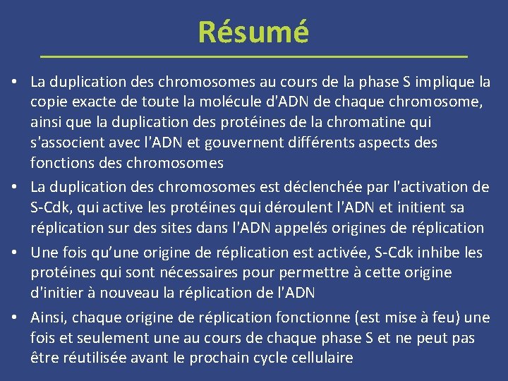 Résumé • La duplication des chromosomes au cours de la phase S implique la