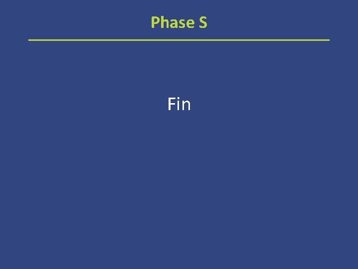 Phase S Fin 