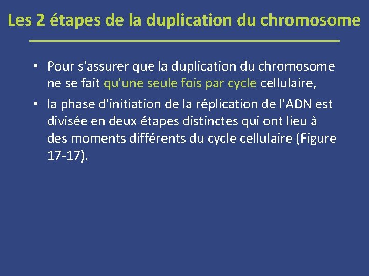 Les 2 étapes de la duplication du chromosome • Pour s'assurer que la duplication