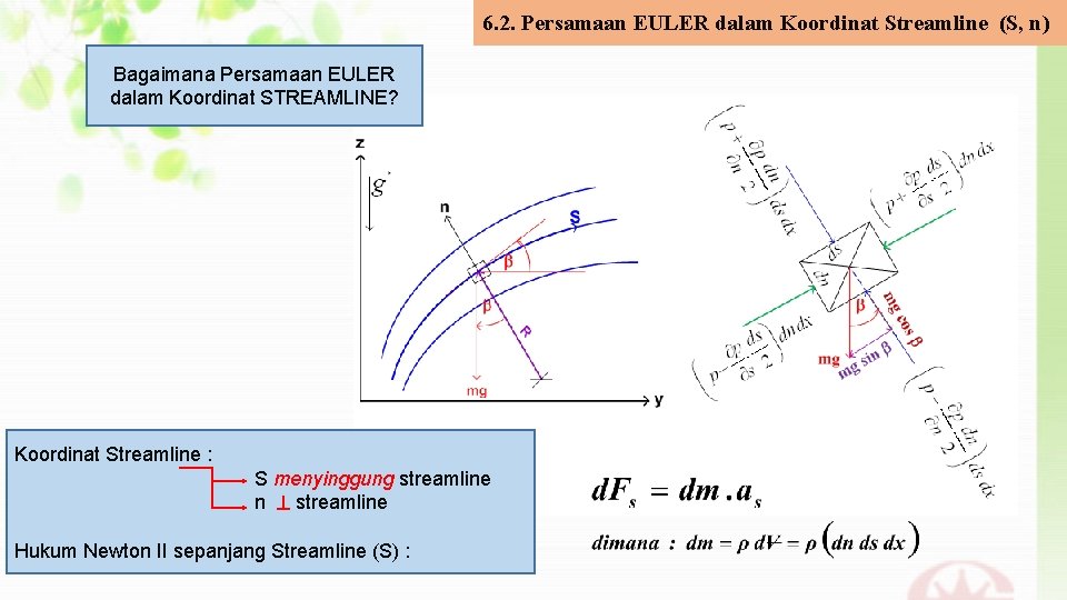 6. 2. Persamaan EULER dalam Koordinat Streamline (S, n) Bagaimana Persamaan EULER dalam Koordinat