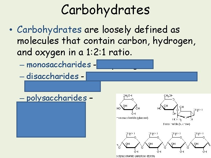 Carbohydrates • Carbohydrates are loosely defined as molecules that contain carbon, hydrogen, and oxygen