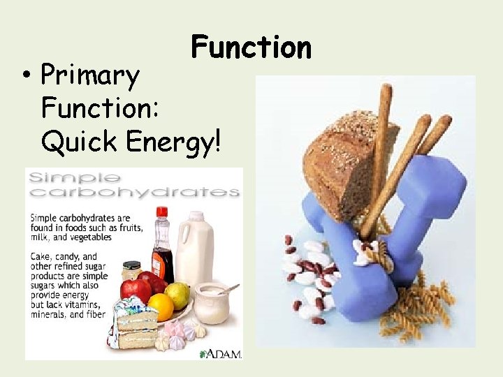 Function • Primary Function: Quick Energy! 