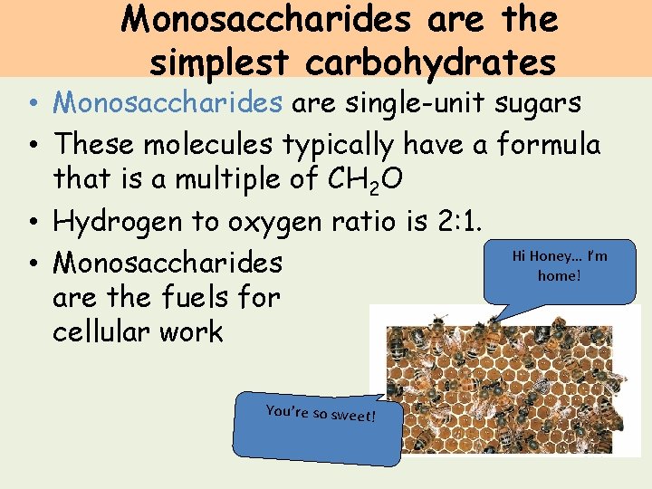 Monosaccharides are the simplest carbohydrates • Monosaccharides are single-unit sugars • These molecules typically